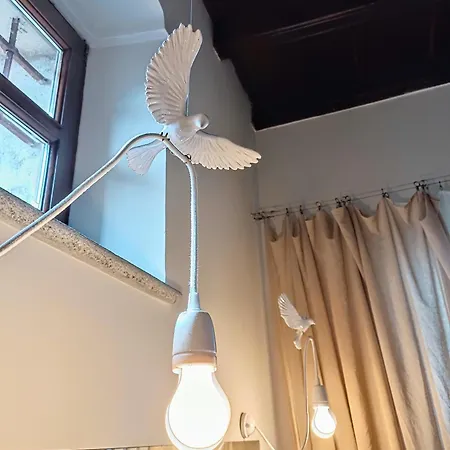 Magnifico @turin Torino